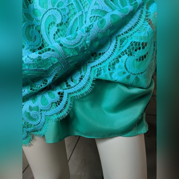 Lilly Pulitzer Courtin Lace Shift Dress - Picture 6 of 8